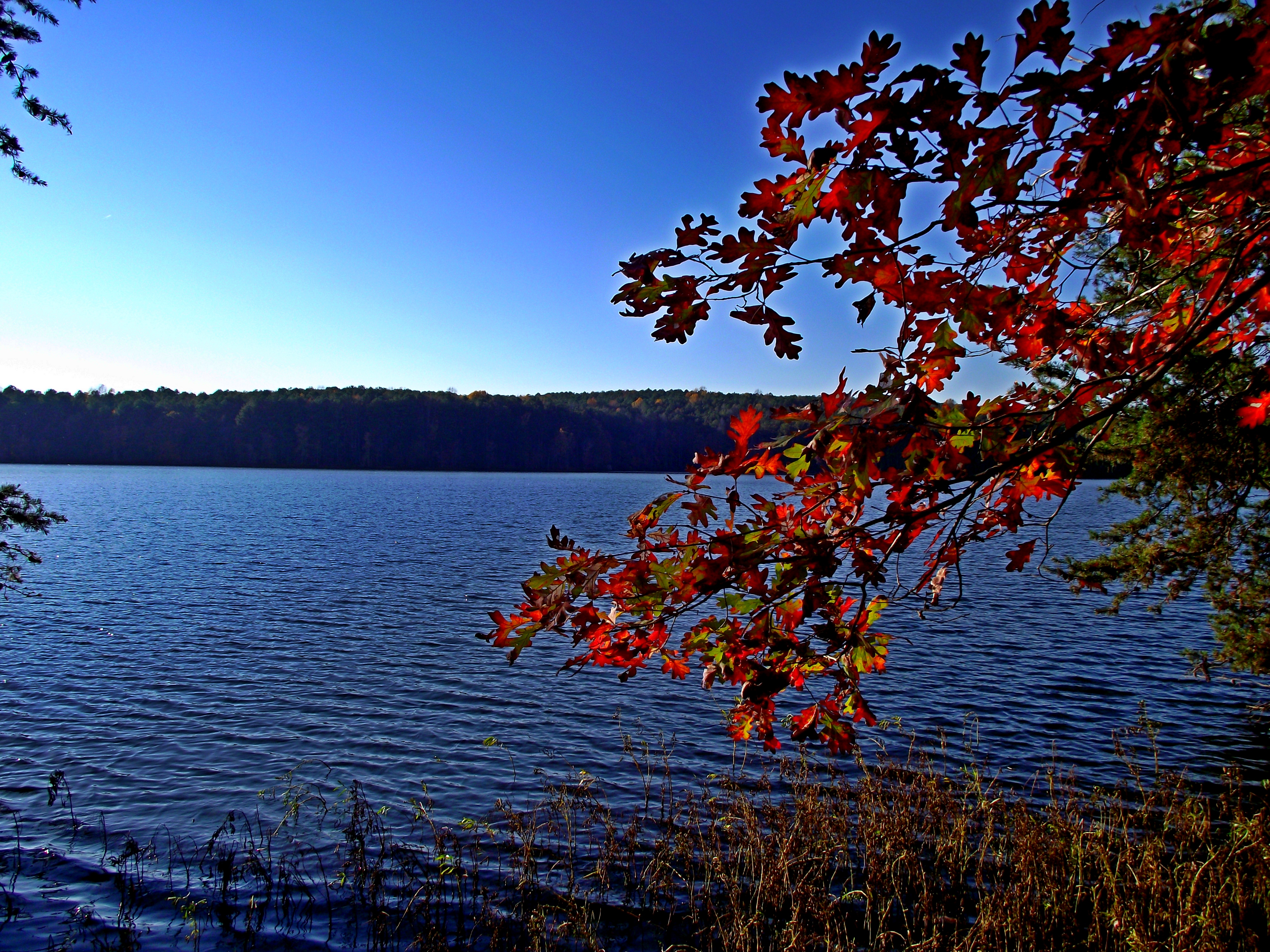 Badin Lake water level