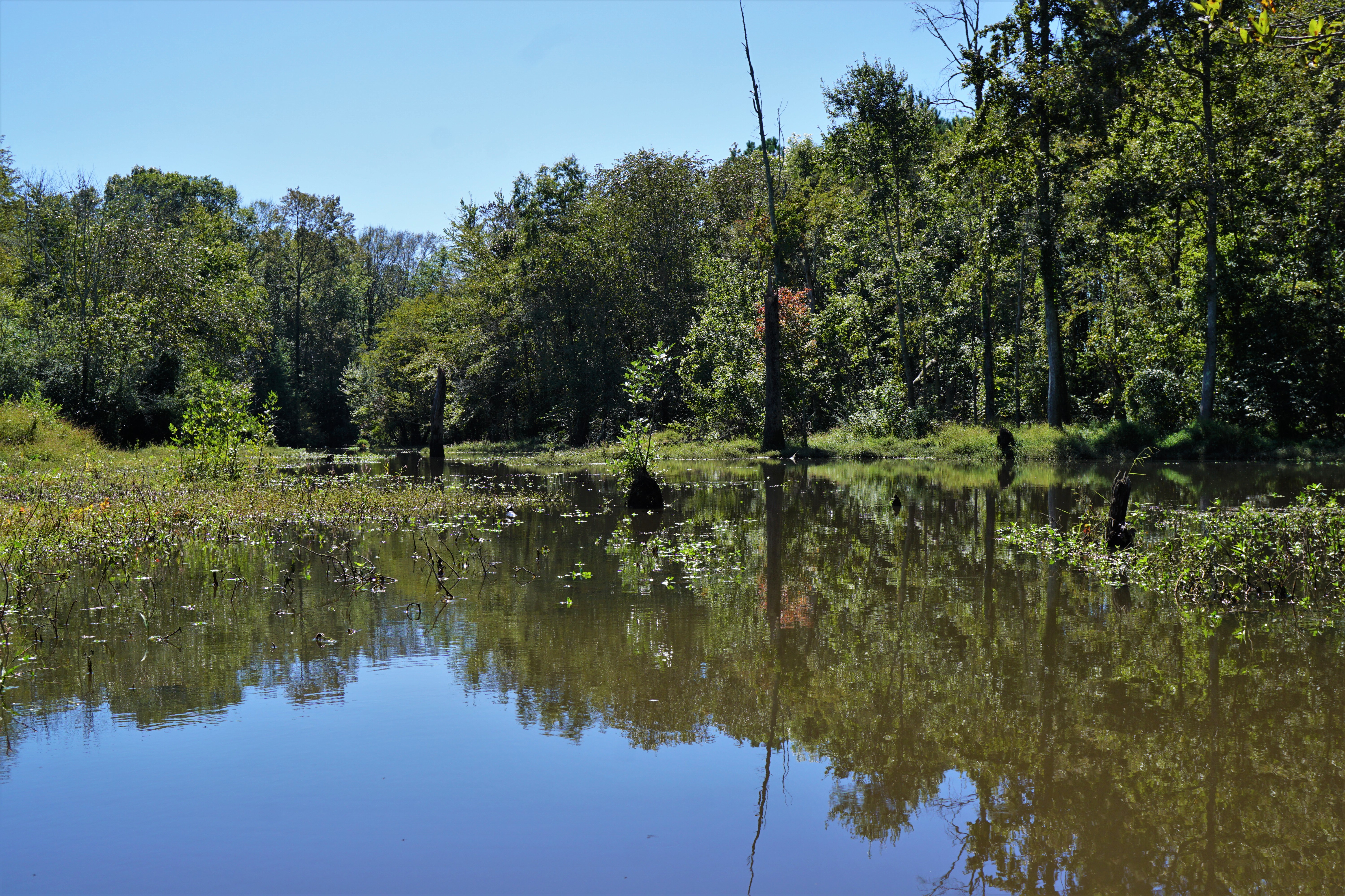 Buckhorn Reservoir water level