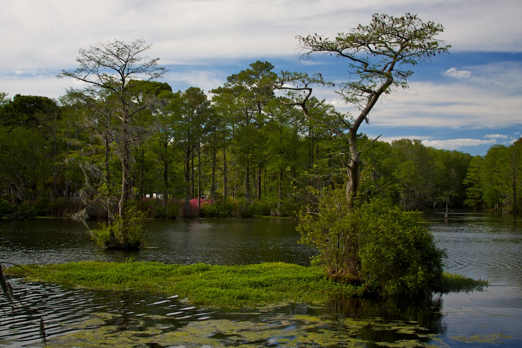 Greenfield Lake things to do