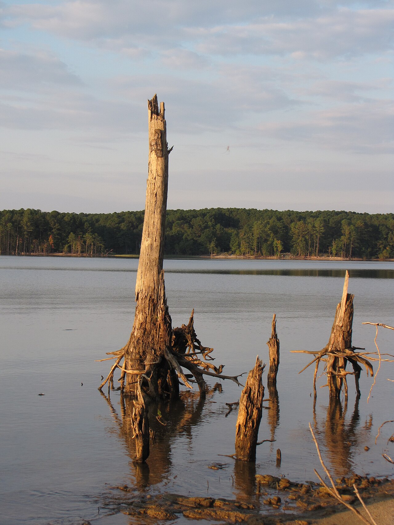 Jordan Lake things to do