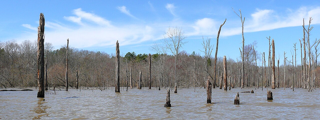 Jordan Lake water level
