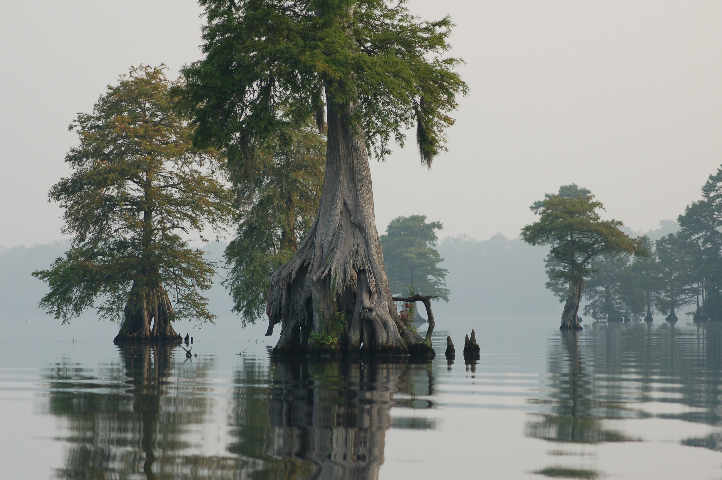 Lake Drummond water level