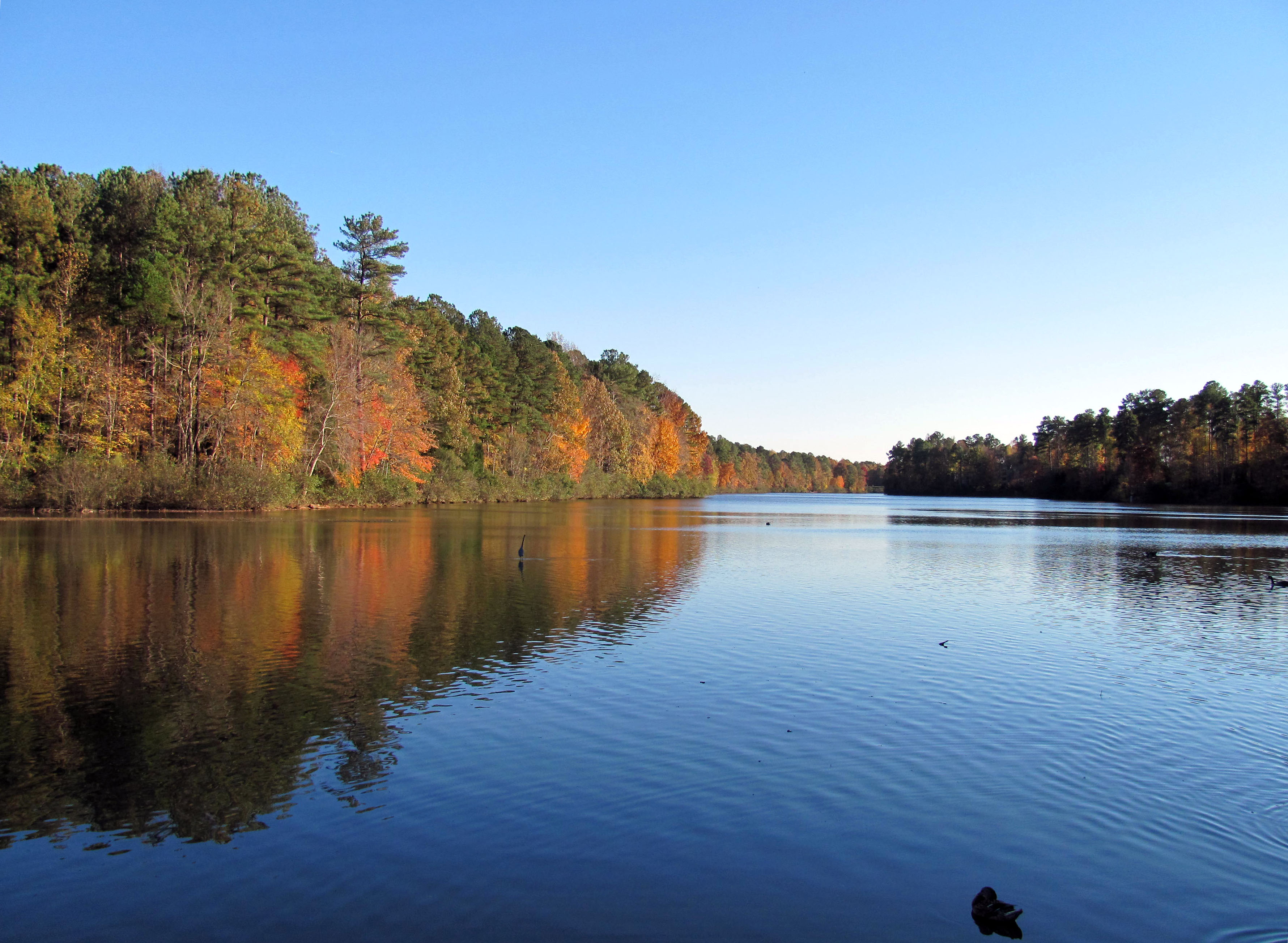 Lake Lynn water level