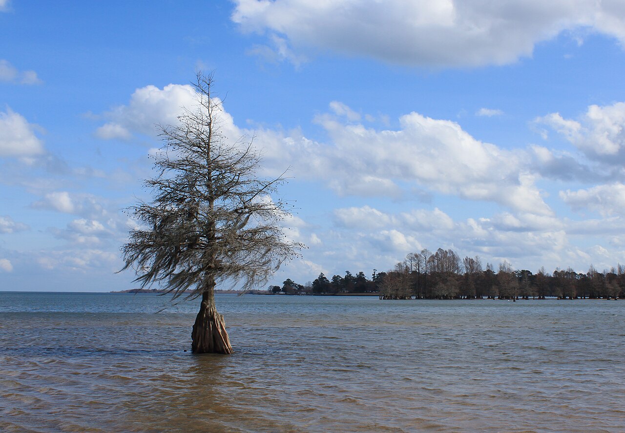 Lake Marion things to do