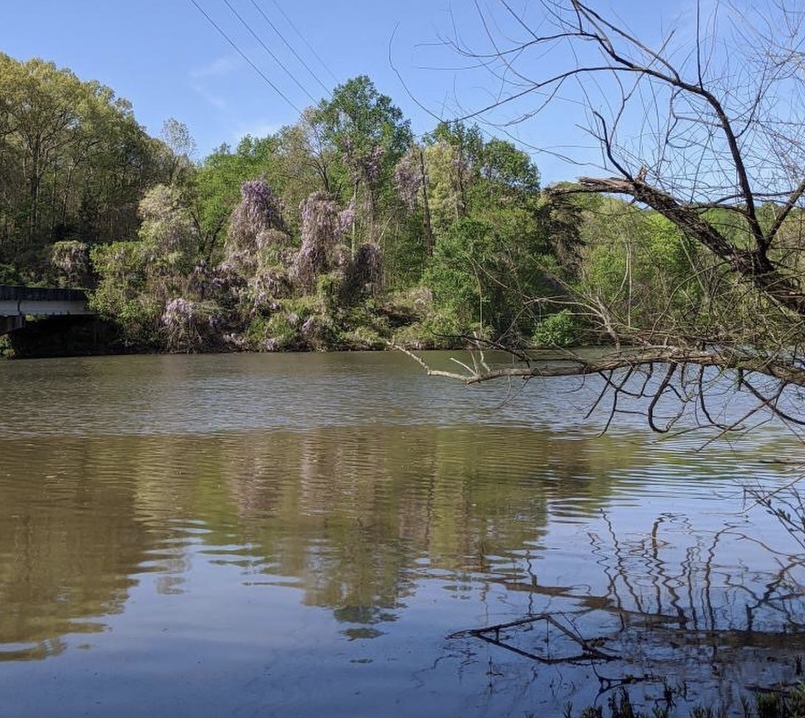 Lake Michie water level