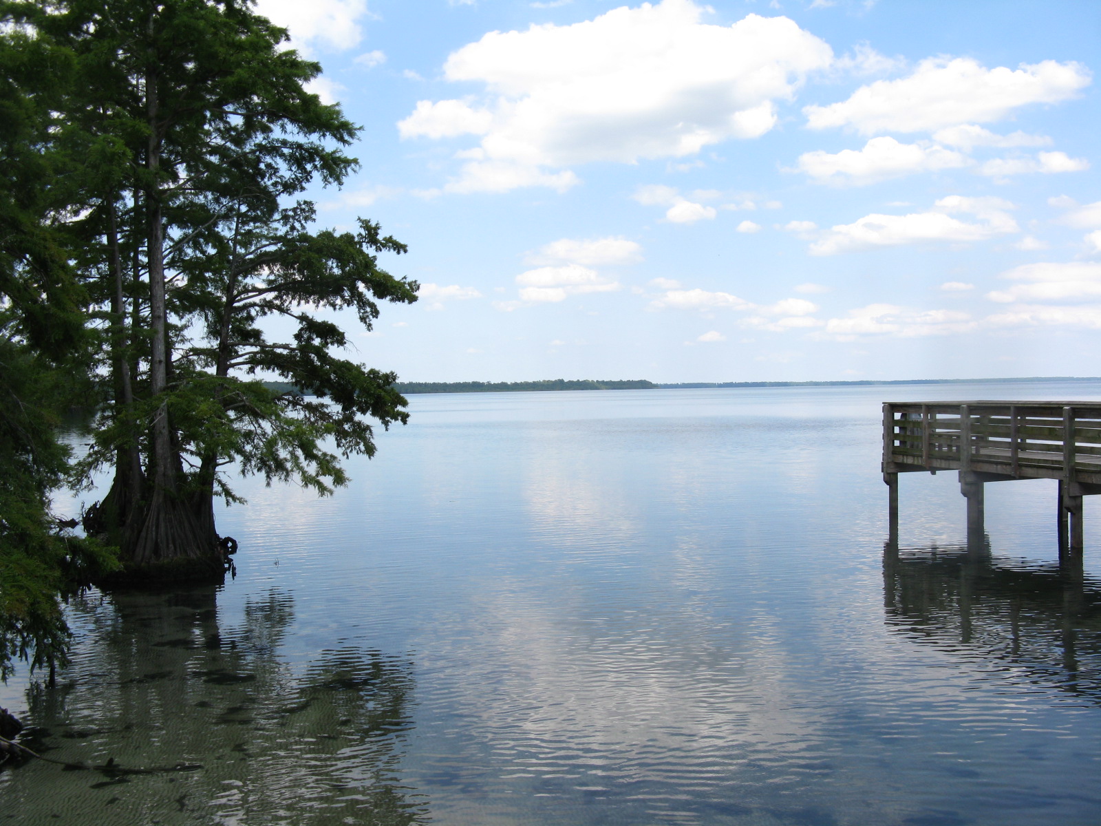 Lake Phelps boat rentals