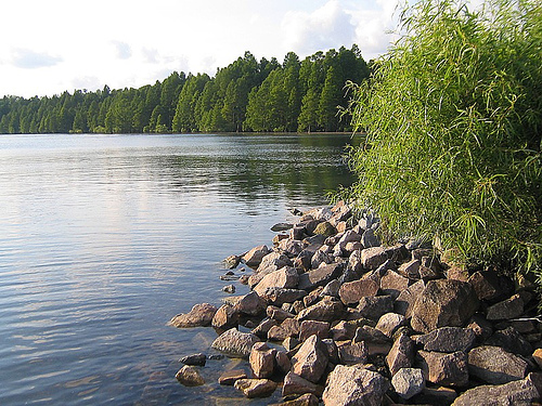 Lake Phelps water level